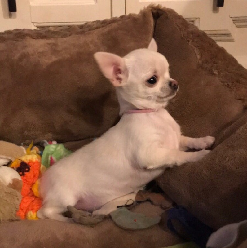 Patty is 7 months old