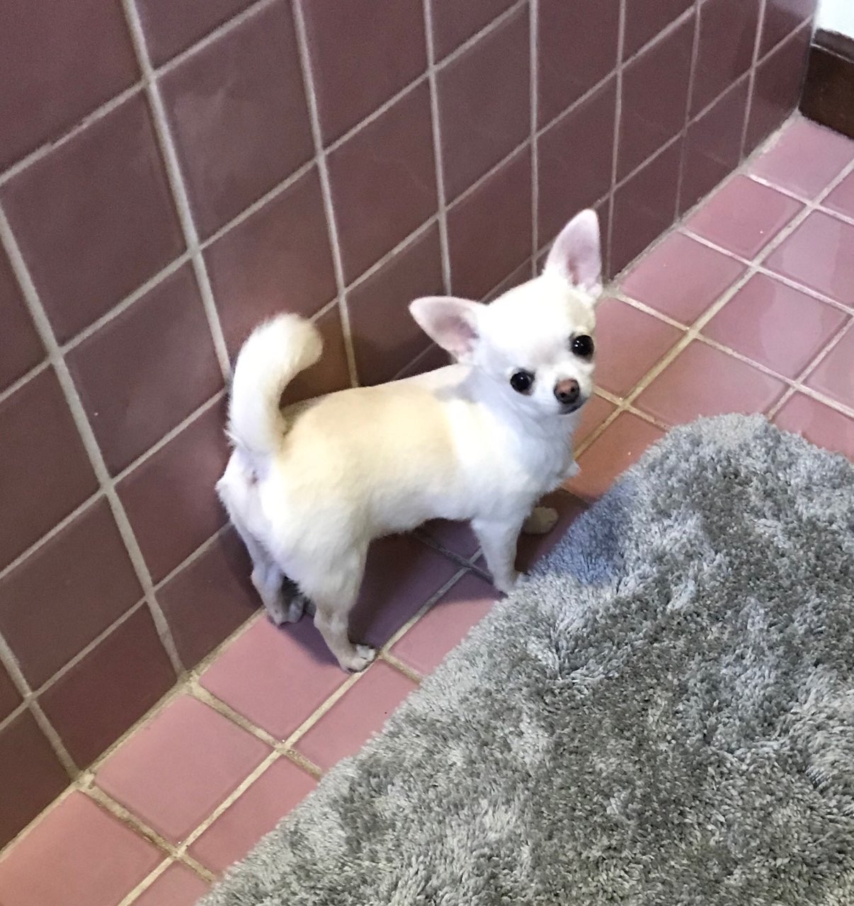 Patty Has a new home in California