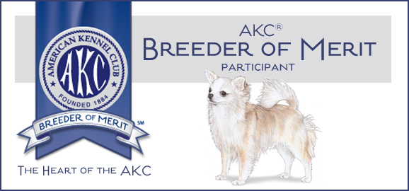 AKC Breeder of Merit
